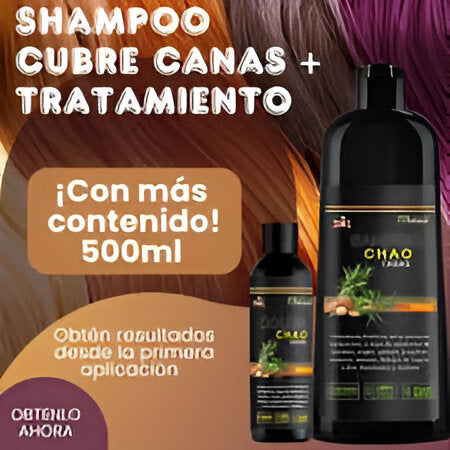 Shampoo Chao Canas + Tratamiento Capilar