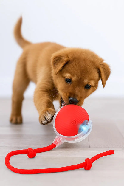 Pelota Interactiva para Mascotas™